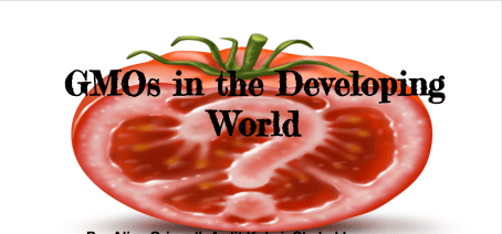 Screen Shot 2016-12-22 at 10.39.24 AM.png